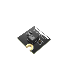 WisBlock Módulo Memoria Flash